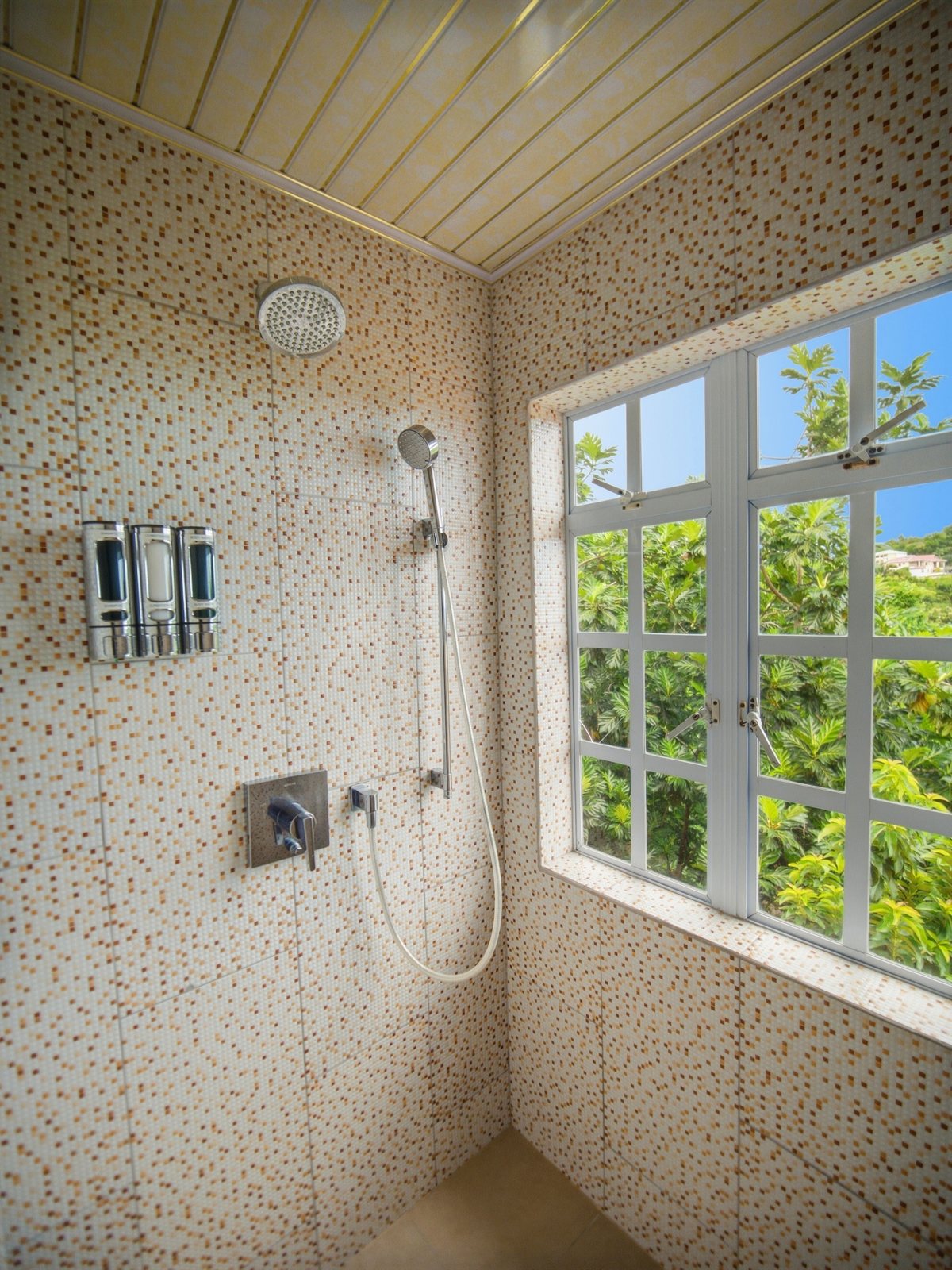 Studio walk-in shower with garden view window